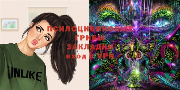 героин Алексин