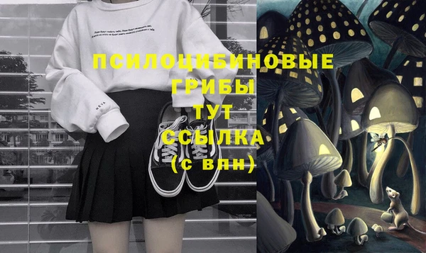 стаф Алексеевка