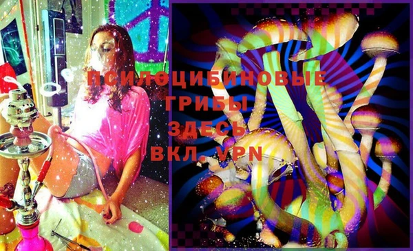 молекула духа Алзамай