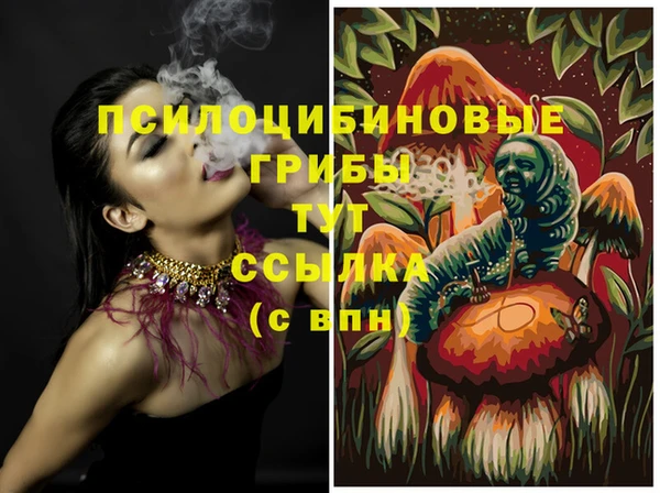молекула духа Алзамай