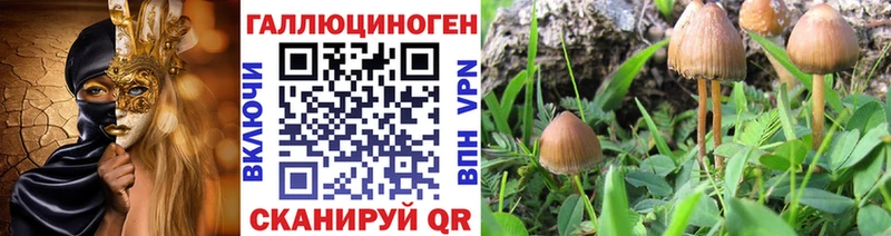 Галлюциногенные грибы MAGIC MUSHROOMS  мега сайт  Северодвинск 