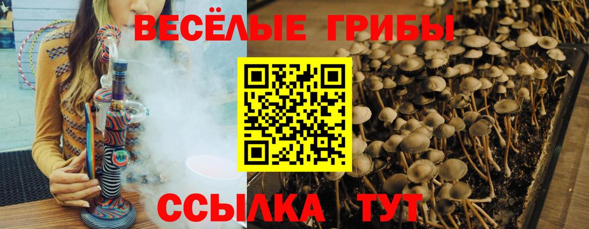 Галлюциногенные грибы Magic Shrooms Северодвинск