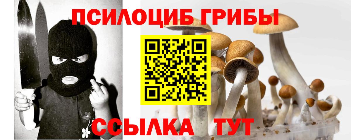 Галлюциногенные грибы GOLDEN TEACHER  Вход с VPN  Северодвинск 